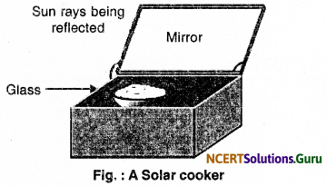 NCERT Solutions for Class 10 Science Chapter 14 Sources of Energy 2