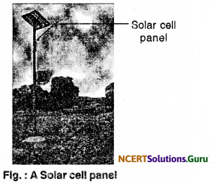 NCERT Solutions for Class 10 Science Chapter 14 Sources of Energy 3
