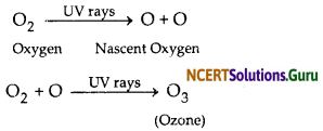 NCERT Solutions for Class 10 Science Chapter 15 Our Environment 2