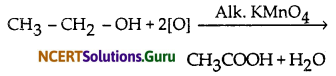 NCERT Solutions for Class 10 Science Chapter 4 Carbon and Its Compounds 12