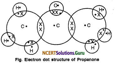 NCERT Solutions for Class 10 Science Chapter 4 Carbon and Its Compounds 15