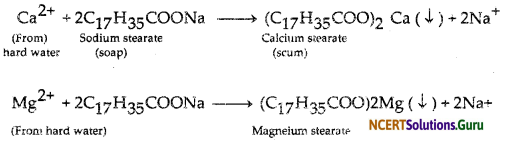 NCERT Solutions for Class 10 Science Chapter 4 Carbon and Its Compounds 17