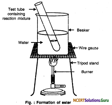 NCERT Solutions for Class 10 Science Chapter 4 Carbon and Its Compounds 22