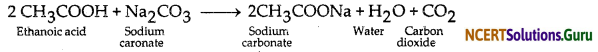 NCERT Solutions for Class 10 Science Chapter 4 Carbon and Its Compounds 23