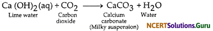 NCERT Solutions for Class 10 Science Chapter 4 Carbon and Its Compounds 24