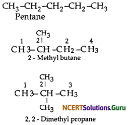 NCERT Solutions for Class 10 Science Chapter 4 Carbon and Its Compounds 3