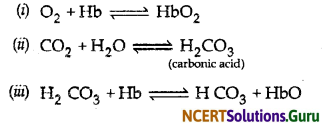 NCERT Solutions for Class 10 Science Chapter 6 Life Processes 8