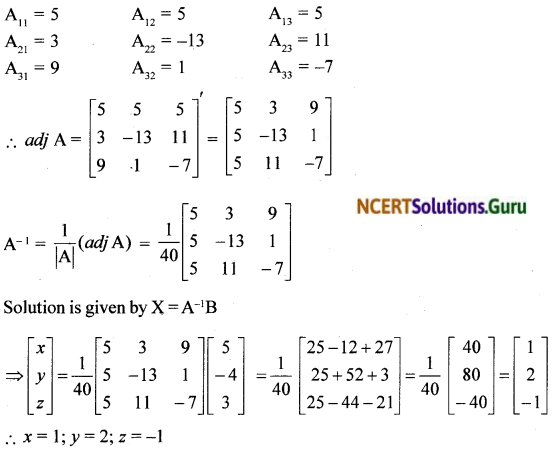 NCERT Solutions for Class 12 Maths Chapter 4 Determinants Ex 4.6 9