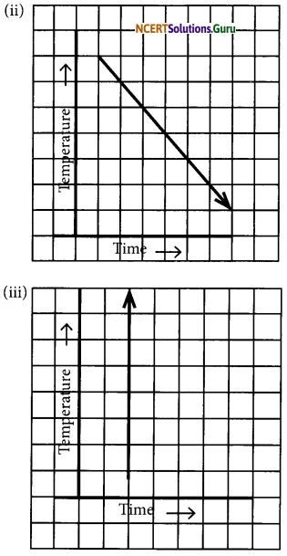 NCERT Solutions for Class 7 Maths Chapter 15 Introduction to Graphs Ex 15.1 11