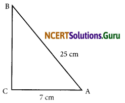 NCERT Solutions for Class 7 Maths Chapter 6 The Triangles and Its Properties Ex 6.5 2