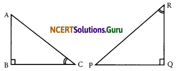 NCERT Solutions for Class 7 Maths Chapter 7 Congruence of Triangles Ex 7.2 14