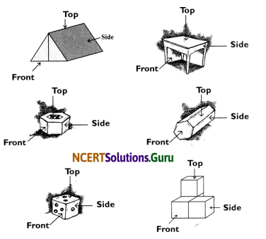 NCERT Solutions for Class 8 Maths Chapter 10 Visualizing Solid Shapes Ex 10.1 5