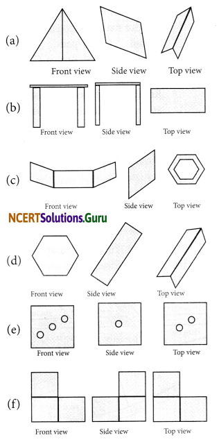 NCERT Solutions for Class 8 Maths Chapter 10 Visualizing Solid Shapes Ex 10.1 6