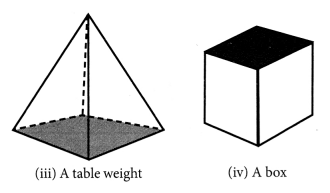 NCERT Solutions for Class 8 Maths Chapter 10 Visualizing Solid Shapes Ex 10.3 2
