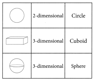 NCERT Solutions for Class 8 Maths Chapter 10 Visualizing Solid Shapes InText Questions 2