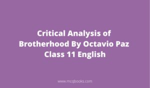 Critical Analysis of Brotherhood By Octavio Paz 