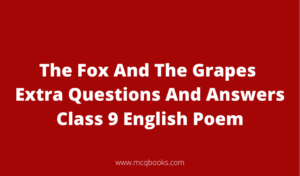 The Fox And The Grapes Extra Questions And Answers