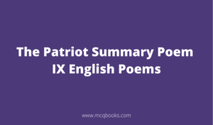 The Patriot Summary Poem