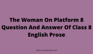 The Woman On Platform 8 Question And Answer 