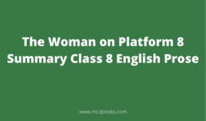 The Woman on Platform 8 Summary